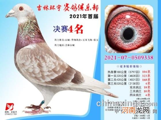 辽宁北镇金龙公棚2022秋季 金龙公棚最新消息