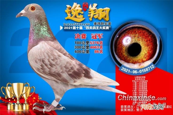 辽宁北镇金龙公棚2022秋季 金龙公棚最新消息