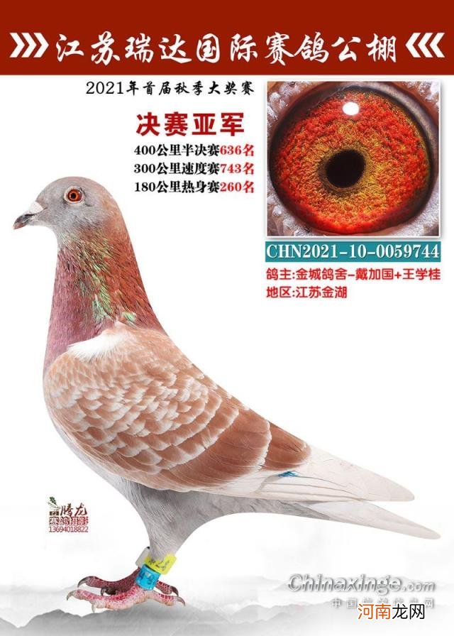 辽宁北镇金龙公棚2022秋季 金龙公棚最新消息