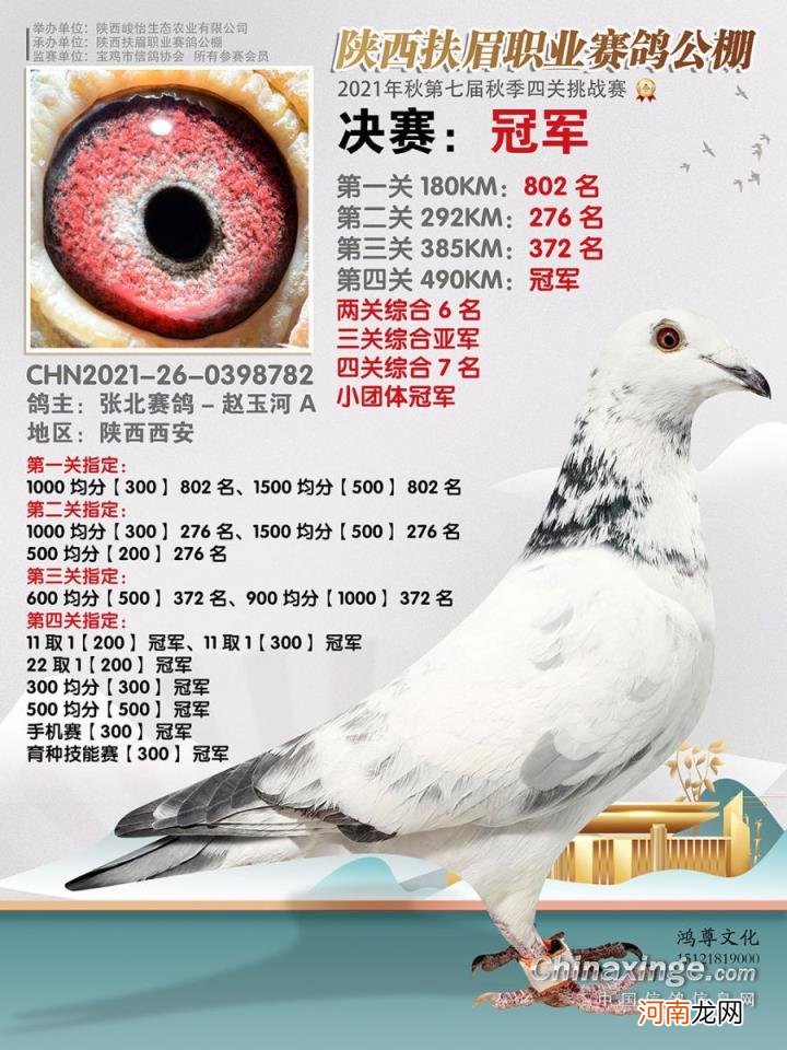 辽宁北镇金龙公棚2022秋季 金龙公棚最新消息