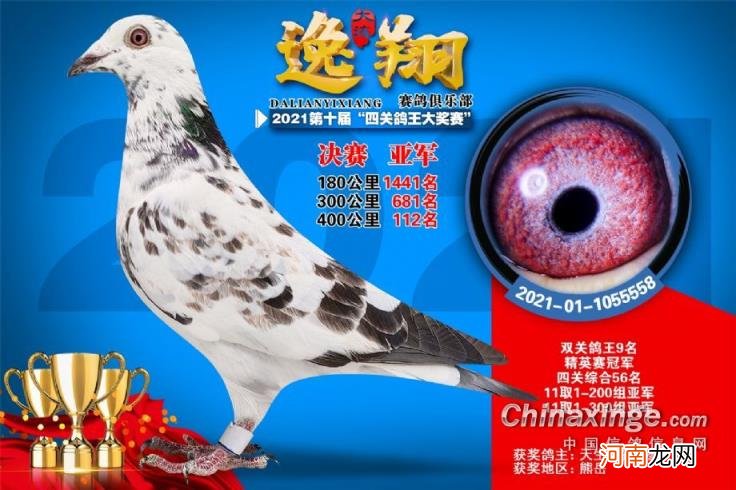 辽宁北镇金龙公棚2022秋季 金龙公棚最新消息