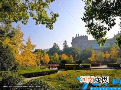 国立武汉大学和武汉大学的区别 国立武汉大学和武汉大学一样吗