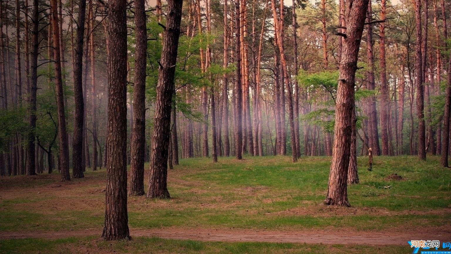 (西汉高速路况实时查询 西汉高速公路)