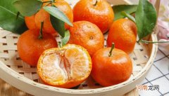 橘子是什么季节的水果