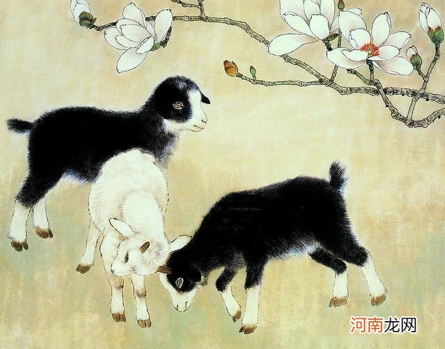 1979年羊人2016年运势 属羊人2017年运势1979