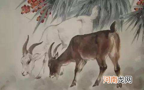 1979年羊人2016年运势 属羊人2017年运势1979