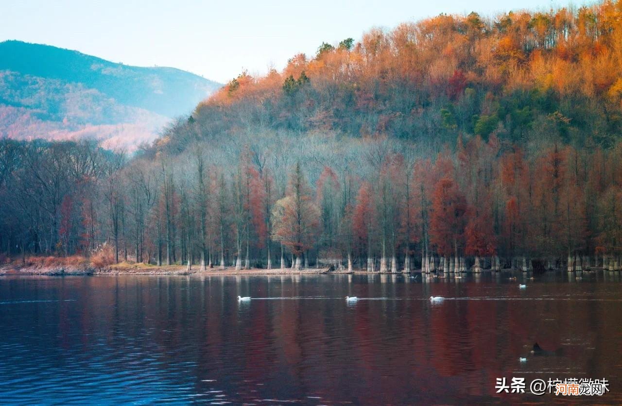 15个周末游玩宝藏胜地 合肥有哪些好玩的地方