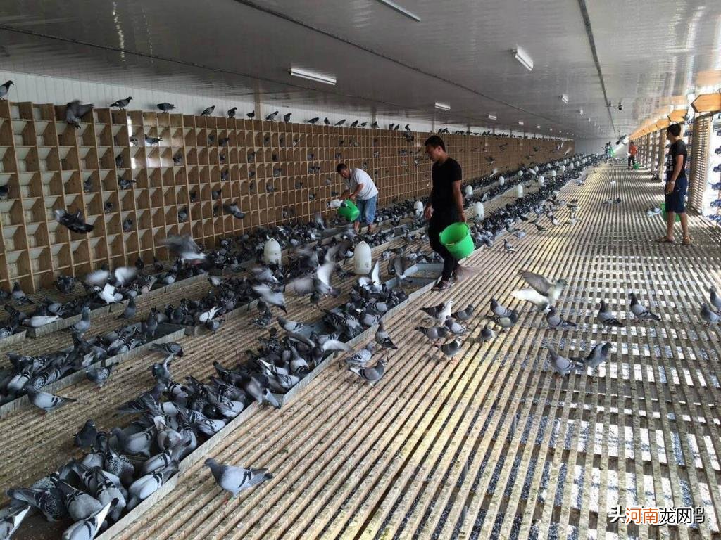 十大安卓应用商店排行榜 安卓手机应用软件商店排名