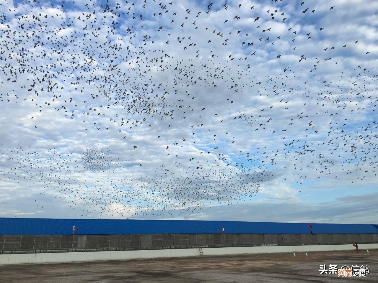 十大安卓应用商店排行榜 安卓手机应用软件商店排名