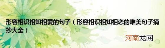 形容相识相知相恋的唯美句子摘抄大全 形容相识相知相爱的句子