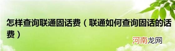 联通如何查询固话的话费 怎样查询联通固话费