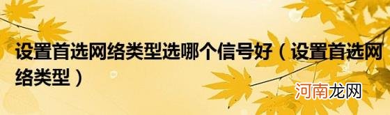 设置首选网络类型 设置首选网络类型选哪个信号好