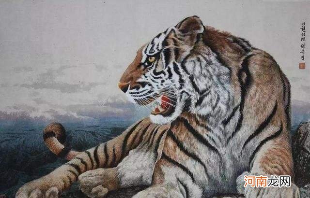 属虎人一生运势 属虎人一生运势及运程