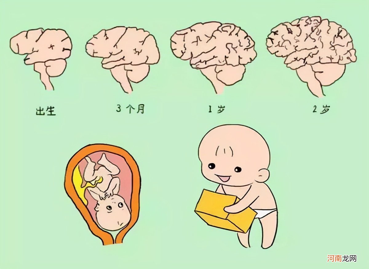 婴儿时期有记忆吗？二胎妈妈带你深度解析“儿童记忆发展”
