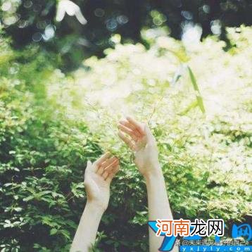 教师个人职业规划前景 教师个人专业成长提升计划