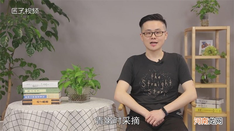 秋葵可以生吃吗