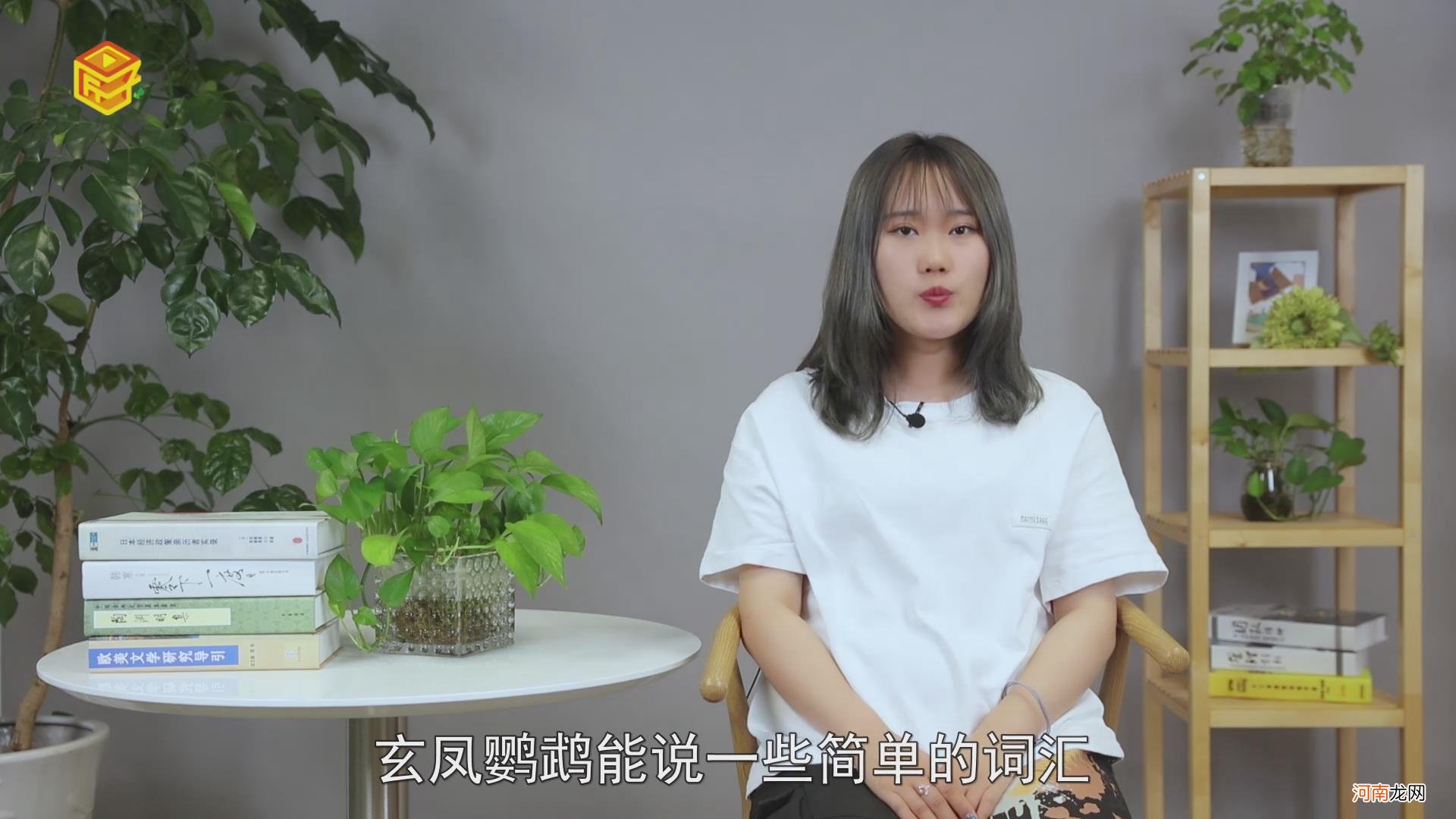 玄凤鹦鹉会说话吗