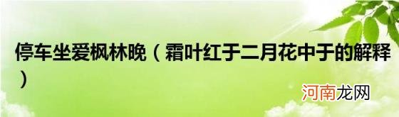 霜叶红于二月花中于的解释 停车坐爱枫林晚