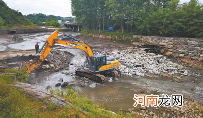 反馈?追踪报道 有序整治河道恢复河水生态