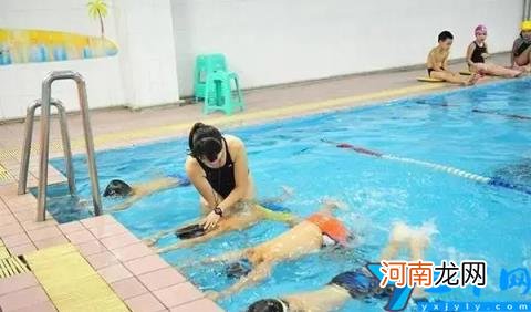 番禺区公办立小学有哪些 番禺区公办立小学排名前十