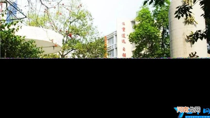番禺区公办立小学有哪些 番禺区公办立小学排名前十
