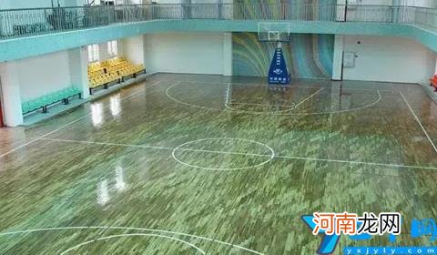 番禺区公办立小学有哪些 番禺区公办立小学排名前十