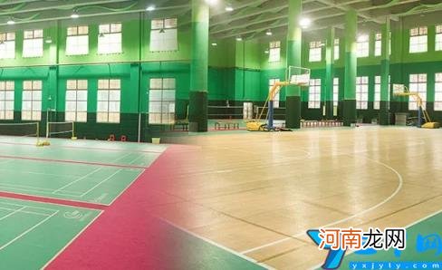 番禺区公办立小学有哪些 番禺区公办立小学排名前十