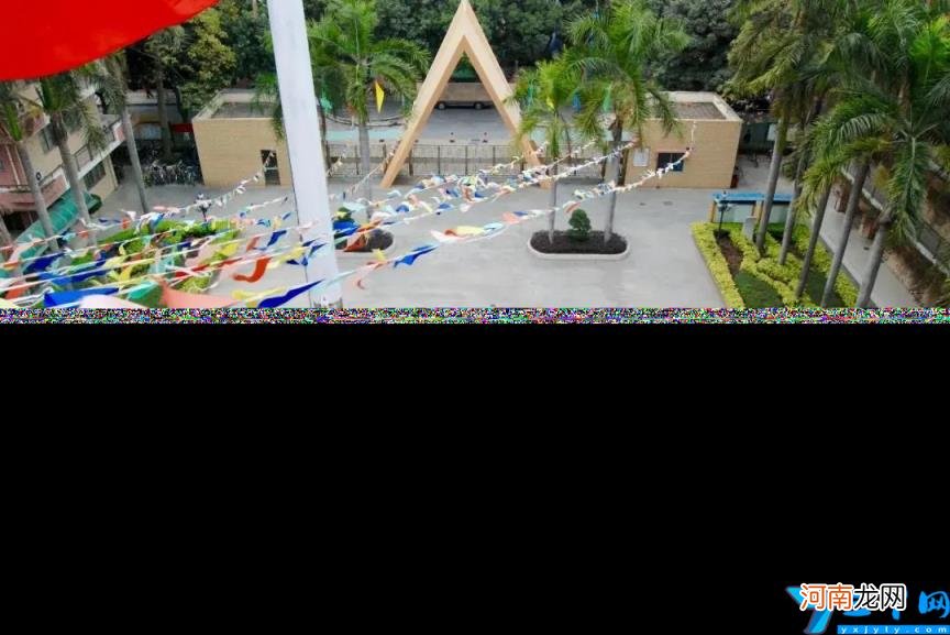 番禺区公办立小学有哪些 番禺区公办立小学排名前十