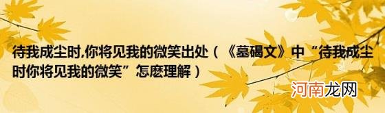 《墓碣文》中“待我成尘时你将见我的微笑”怎麽理解 你将见我的微笑出处(待我成尘时)