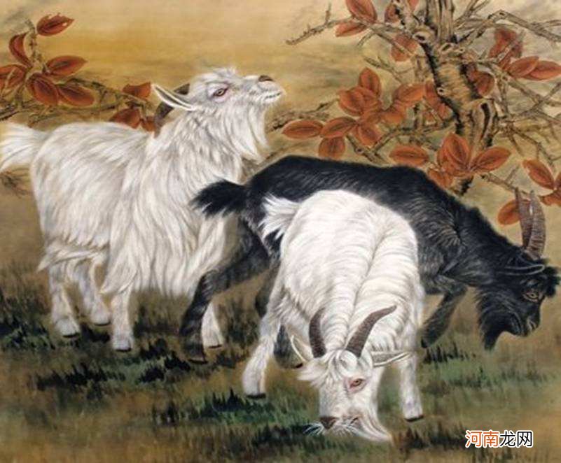 2017年属羊人的全年运势 2017年属羊的人的全年运势