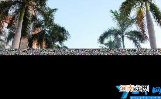 东软学院怎么样 广东东软学院是几本