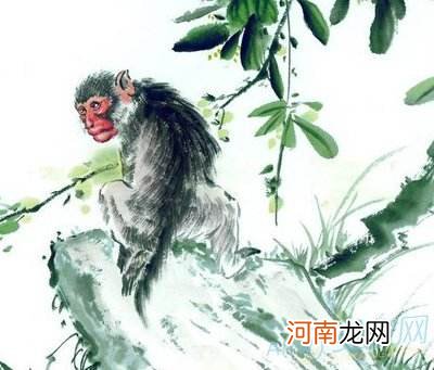 1985年2016年每月运势 1985年2016年每月运势查询