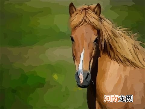 属马下半年运势 属马下半年运势如何2021