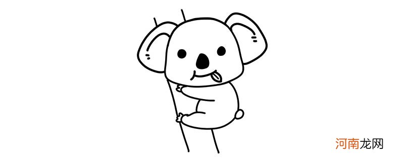 树袋熊是哪个国家的国宝动物