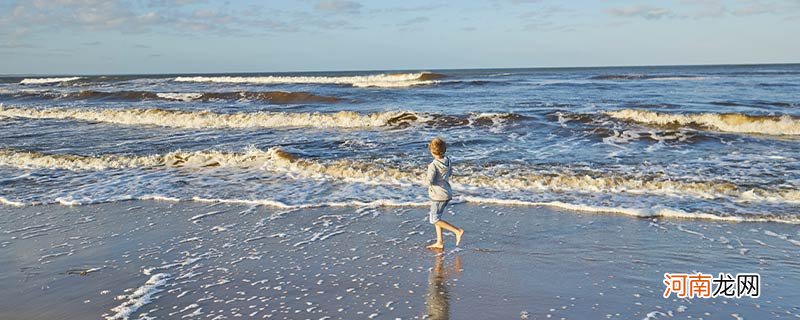 乌拉圭是哪个洲的国家