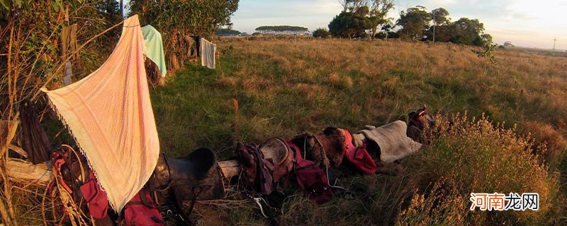 乌拉圭是哪个洲的国家