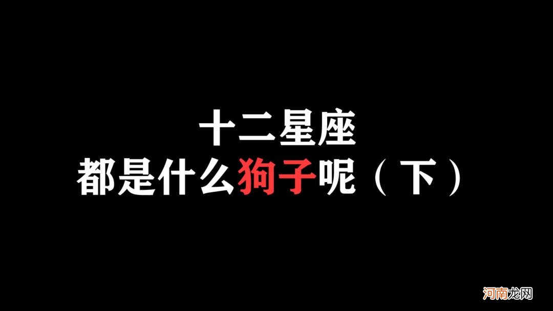 属狗的狮子座 属狗的狮子座女生幸运色