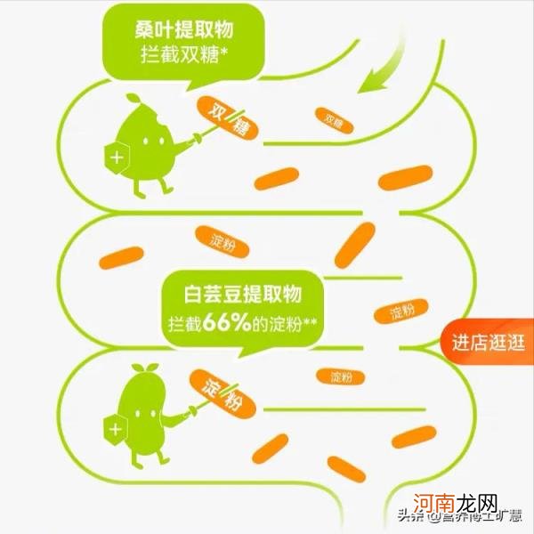 白芸豆减肥是真是假，白芸豆碳水阻断片可以减肥吗？