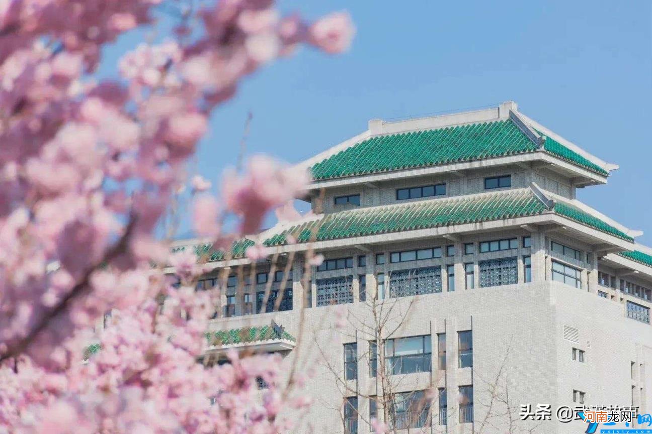 官宣来了 武汉大学今年樱花盛开期间对外开放吗