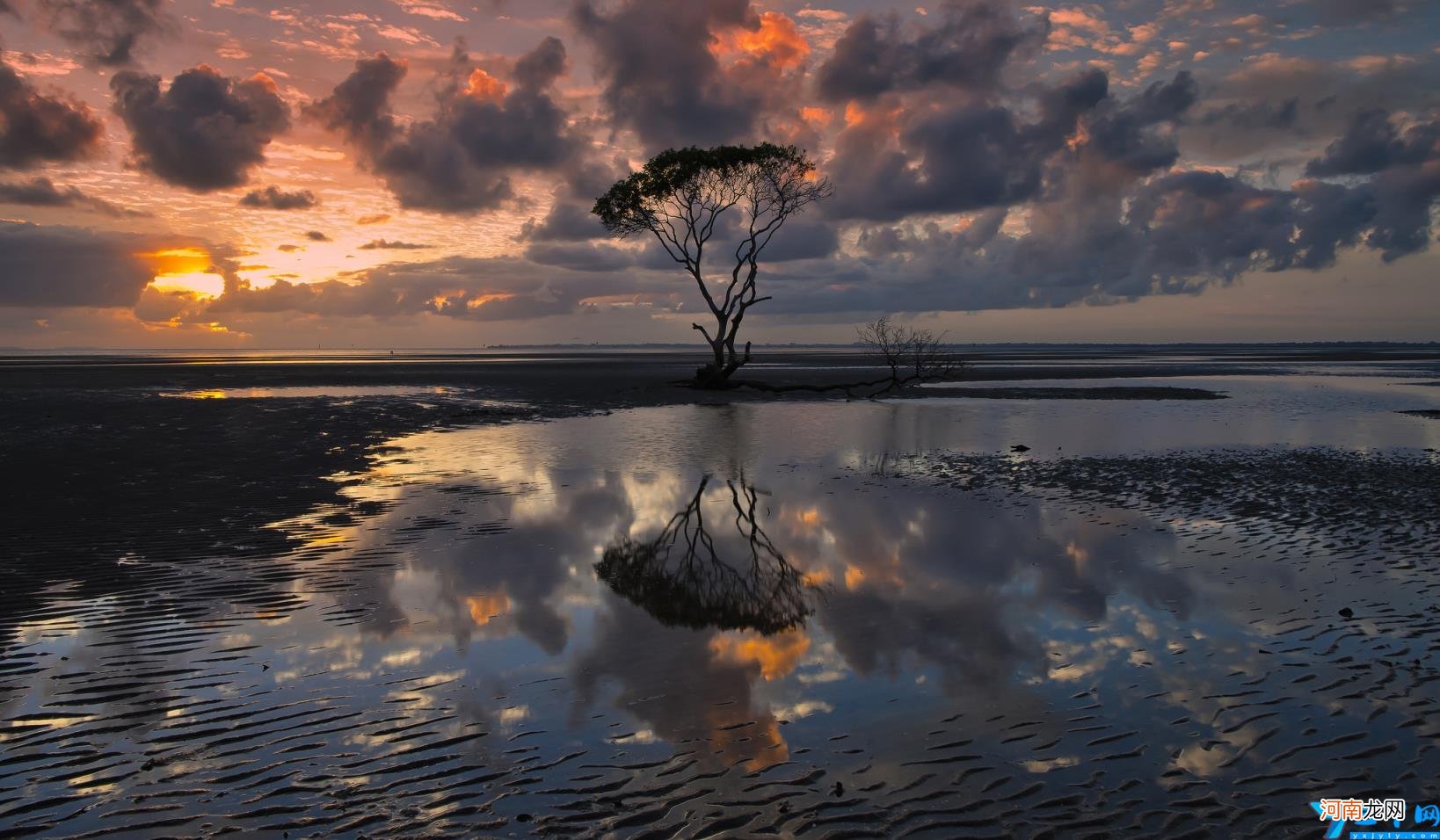 2022年异地可以办理离婚吗 网上预约离婚怎么预约