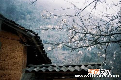 周公解梦春梦 梦见春梦代表什么预兆