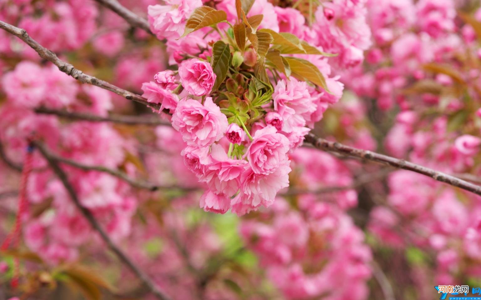 个税扣除继续教育专项附加标准 继续教育专项附加扣除标准