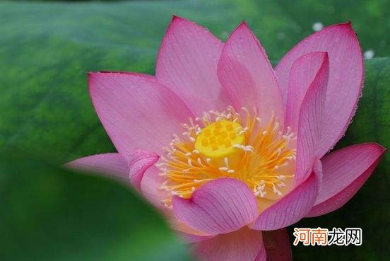 四月份运势 四月份运势2021