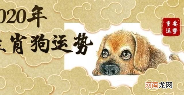 属狗人今年运势 属狗人今年运势怎样