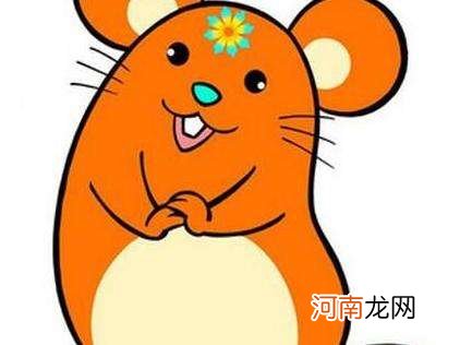 2017属鼠运势 2017年属鼠运势