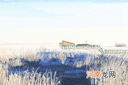 星座配对查询男女 男女星座配对表