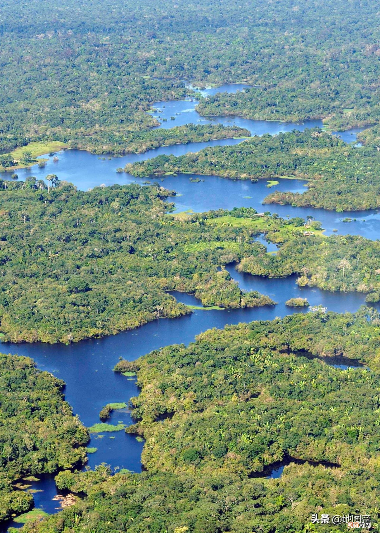 巴西面积多大 巴西印度人口多少亿人2022