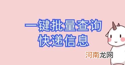 怎么查快递单号物流信息，怎么样在网上查询快递单号？