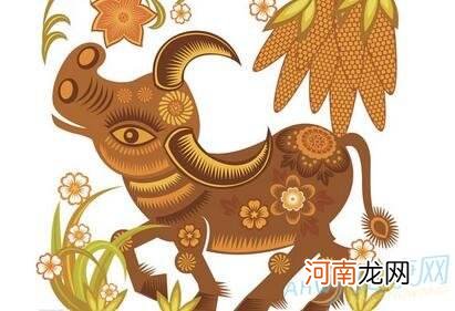 属牛的2017年运势如何 属牛的在2018年的运势如何