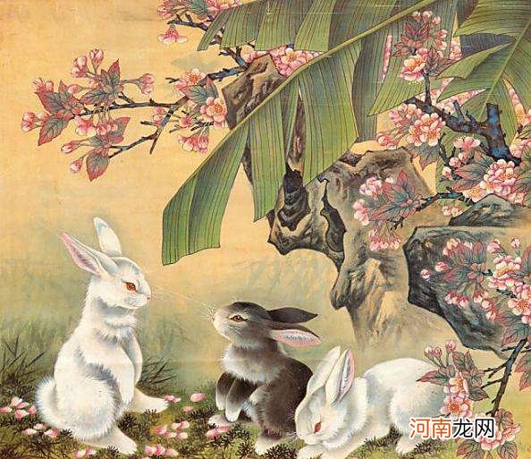 属兔每月运势 2022年属兔每月运势